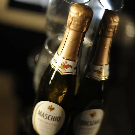 Ca' Xxii Marzo Boutique Appartement